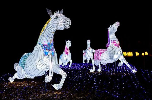 Žibintų festivalis "Stebuklų šalyje" ... čia iliuzijos tampa realybe... (Joniškėlis - Pakruojis) 1d.