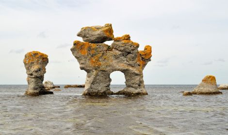 Švedija. Gotlandas.