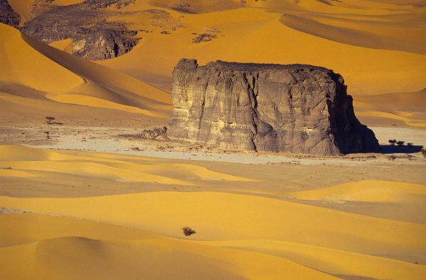 SACHARA su Alžyro prieskoniu 14d.