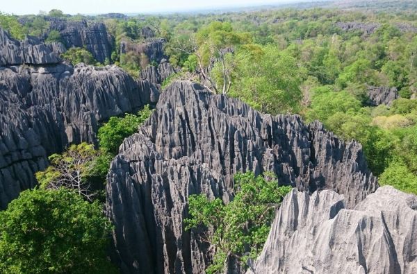 Madagaskaras - Mėnulio sala. Kelionės pratęsimas Reunjone, Mauricijuje, Seišeliuose 17d. (23d.)