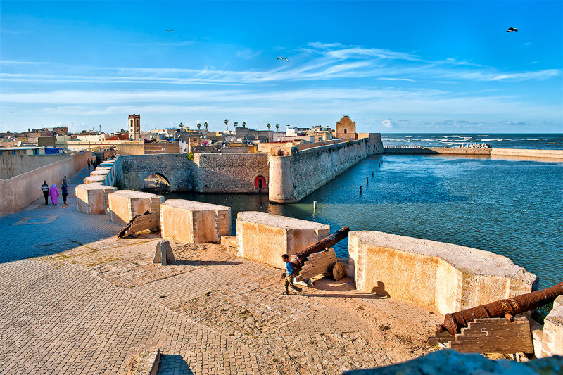 Es Saviros medina