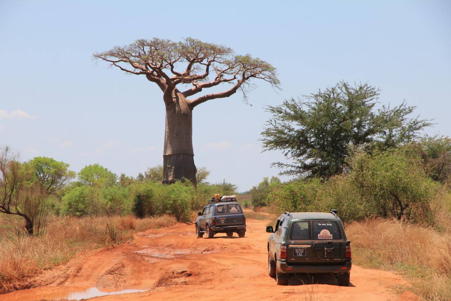 Madagaskaras kelionės džipais