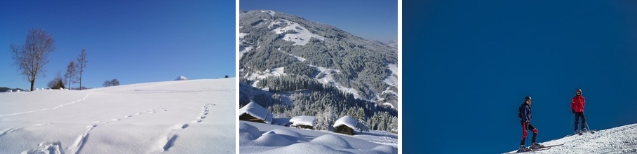 Flachau Wagrain slidinėjimo trasos