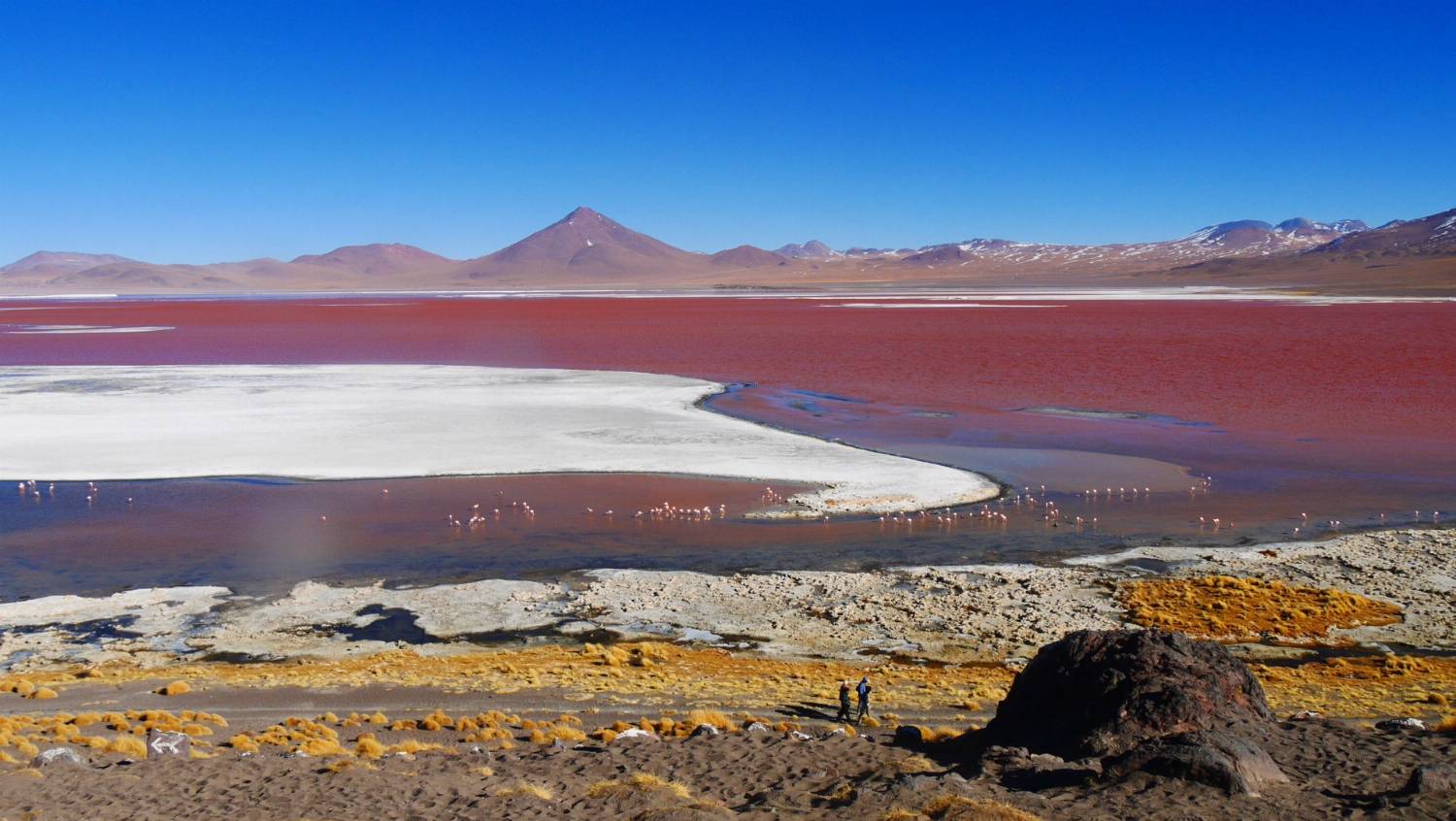 Raudonoji lagūna, Bolivija
