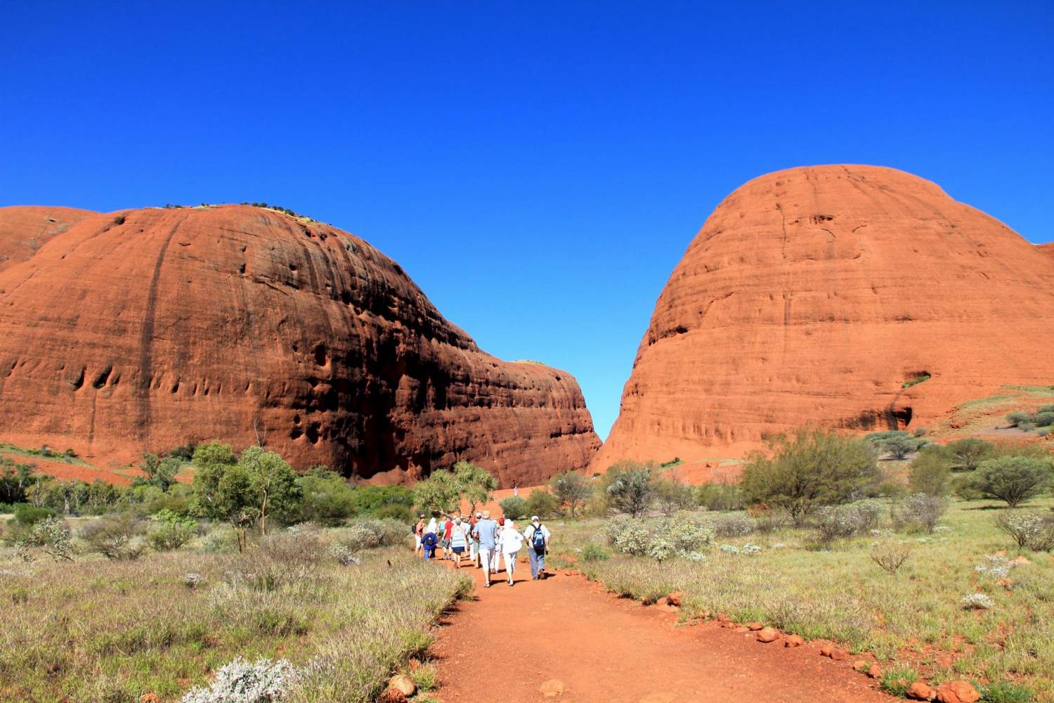 Žygis į Uluru